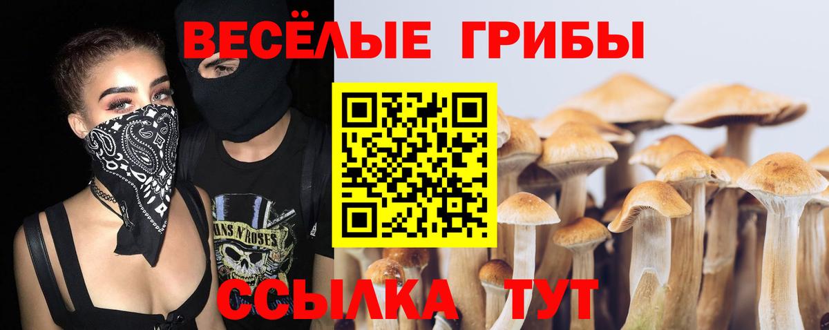 Галлюциногенные грибы Magic Shrooms Котовск