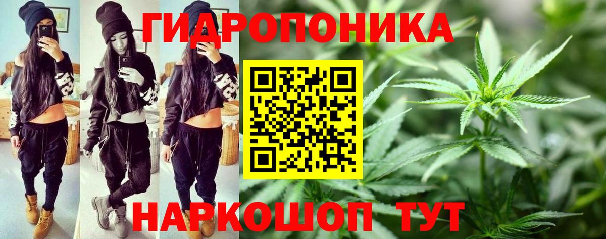 Бошки марихуана OG Kush Котовск