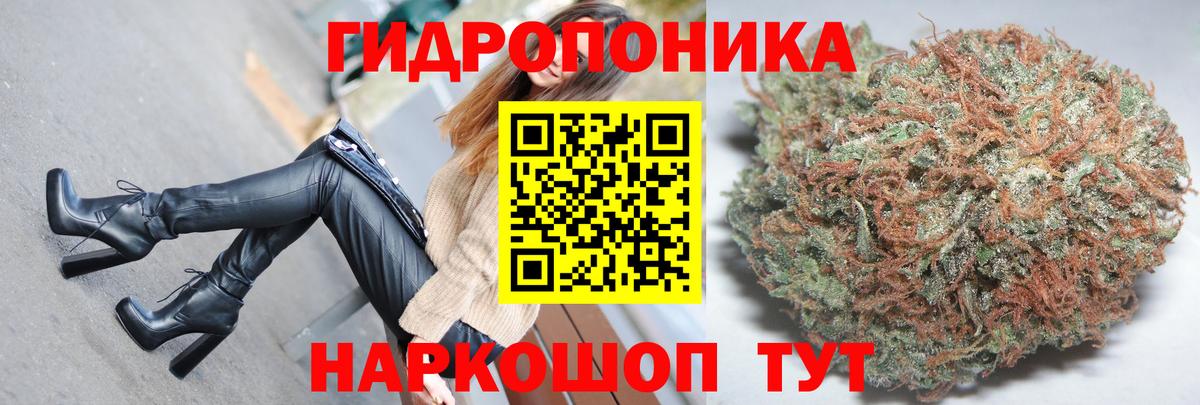 Бошки марихуана Ganja Котовск